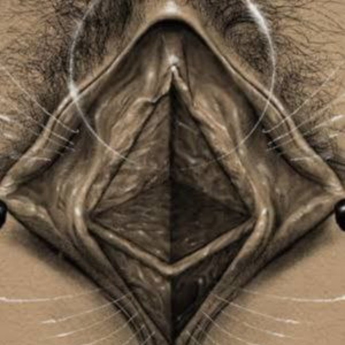 0atlas0.eth Profile Photo