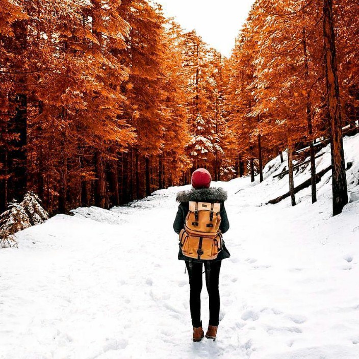 0xaisan.eth Ethereum Name Service (ENS and .eth domain) PFP