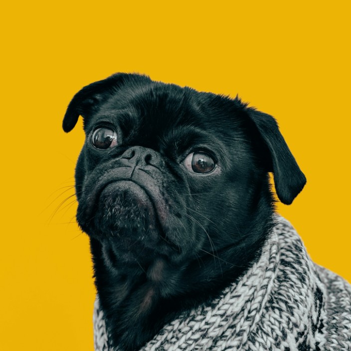 0xbizy.eth Ethereum Name Service (ENS and .eth domain) PFP