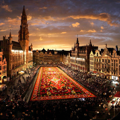 0xbrussels.eth Ethereum Name Service (ENS and .eth domain) PFP