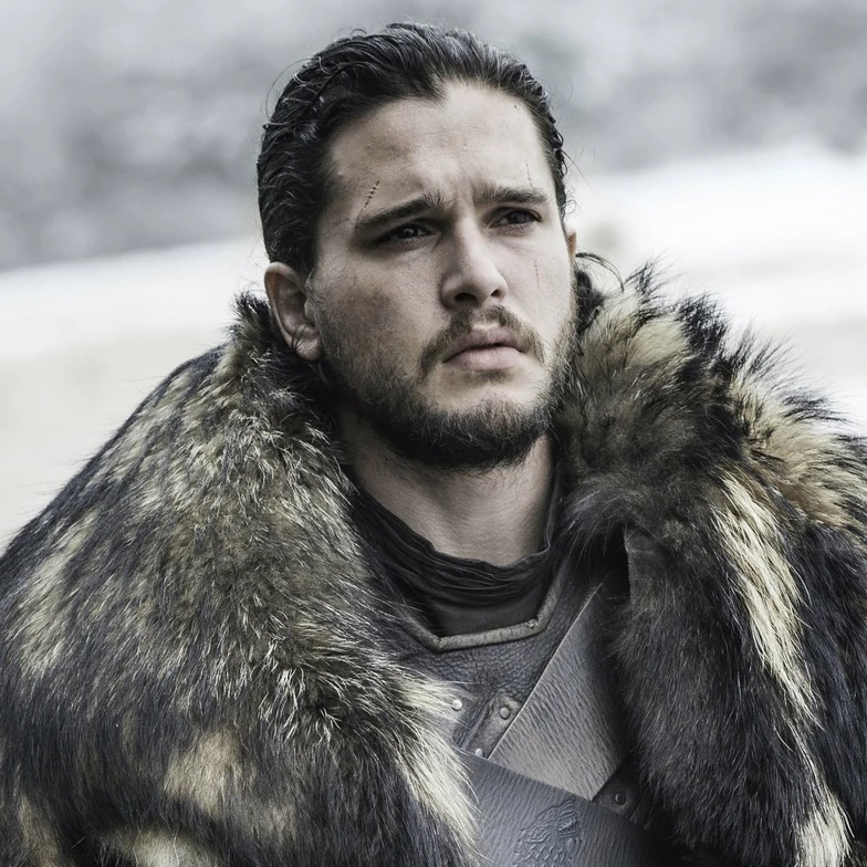 0xjonsnow.eth Ethereum Name Service (ENS and .eth domain) PFP