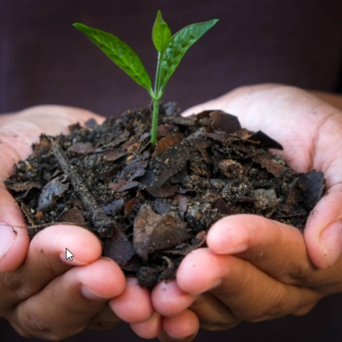 0xrohner.eth Ethereum Name Service (ENS and .eth domain) PFP