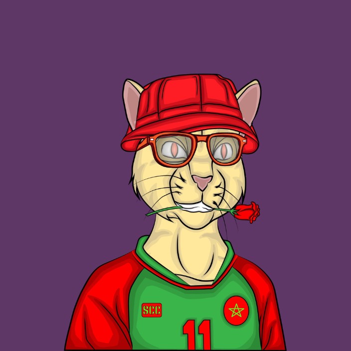 0xsay.eth Ethereum Name Service (ENS and .eth domain) PFP