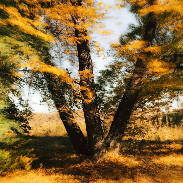 6834962941.base.eth Basenames (.base.eth domains) based on ENS PFP