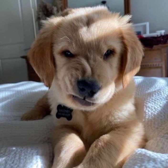 11plannername.eth Ethereum Name Service (ENS and .eth domain) PFP