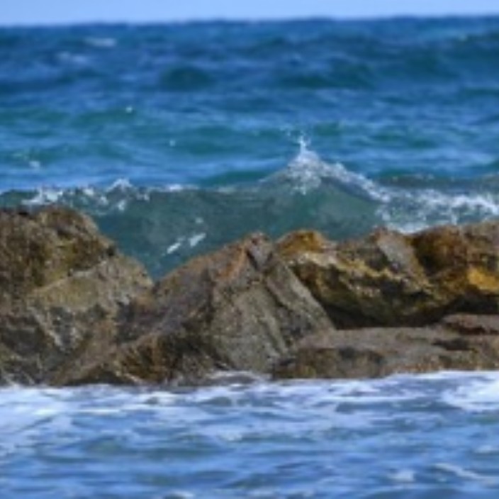 21628.eth Ethereum Name Service (ENS and .eth domain) PFP