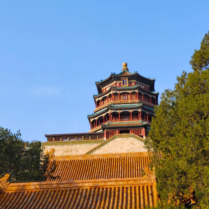 220228.eth Ethereum Name Service (ENS and .eth domain) PFP