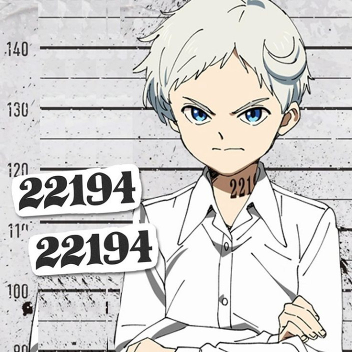 Norman (22194.eth) Ethereum Name Service (ENS and .eth domain) PFP