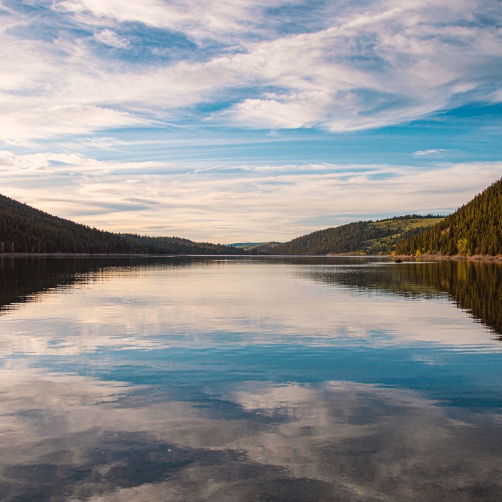 22436.eth Ethereum Name Service (ENS and .eth domain) PFP