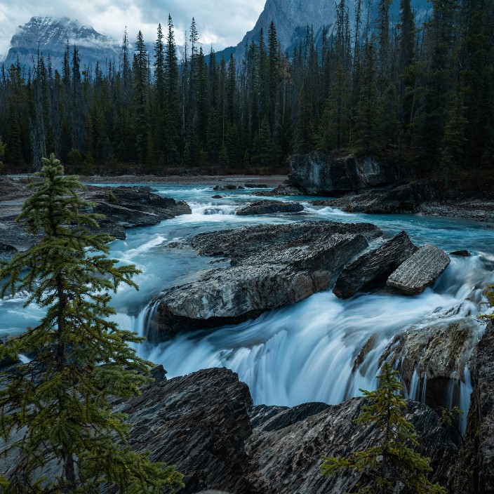 256252.eth Ethereum Name Service (ENS and .eth domain) PFP