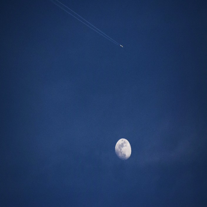 29129.eth Ethereum Name Service (ENS and .eth domain) PFP