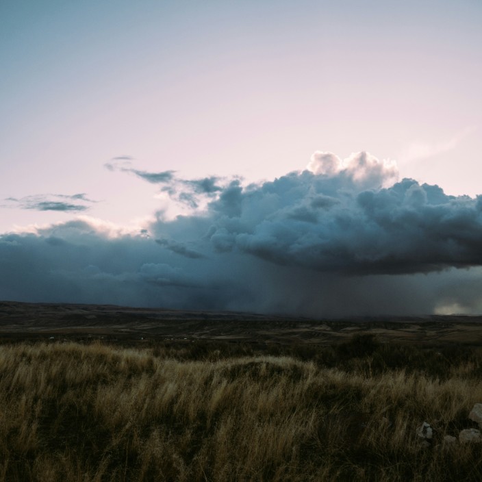 29689.eth Ethereum Name Service (ENS and .eth domain) PFP