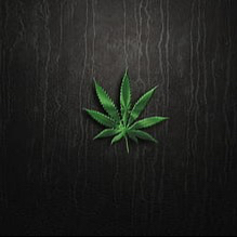 42025.eth Ethereum Name Service (ENS and .eth domain) PFP