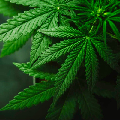 42058.eth Ethereum Name Service (ENS and .eth domain) PFP