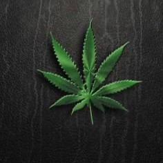 42093.eth Ethereum Name Service (ENS and .eth domain) PFP