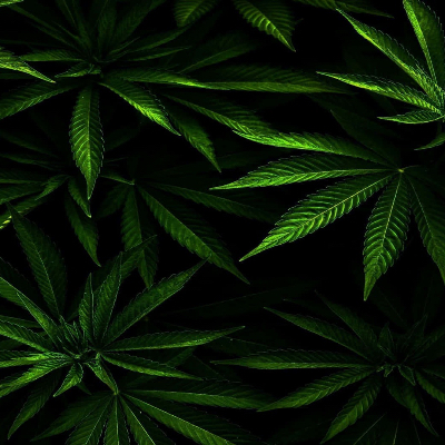 42098.eth Ethereum Name Service (ENS and .eth domain) PFP