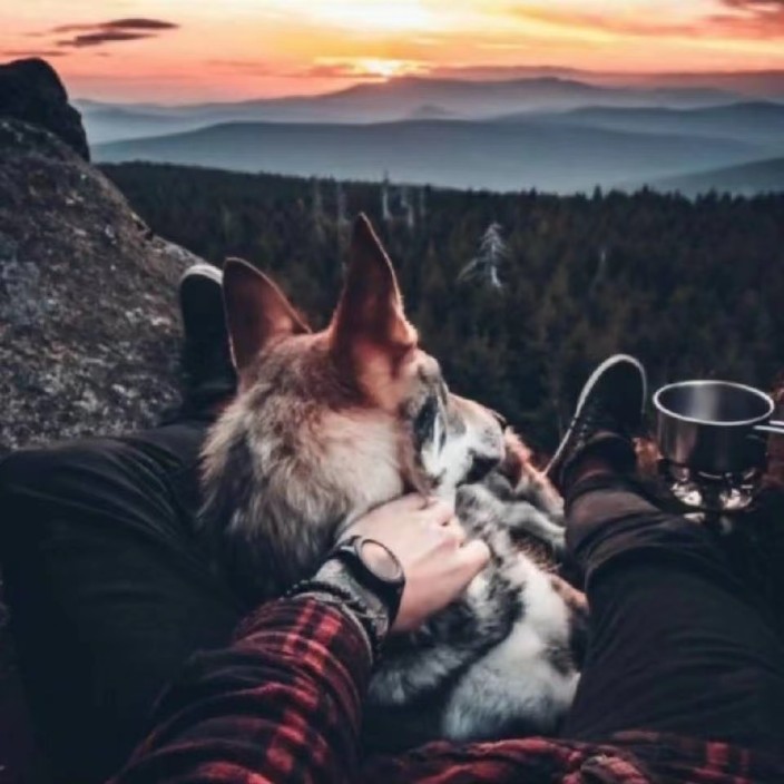 523633.eth Ethereum Name Service (ENS and .eth domain) PFP