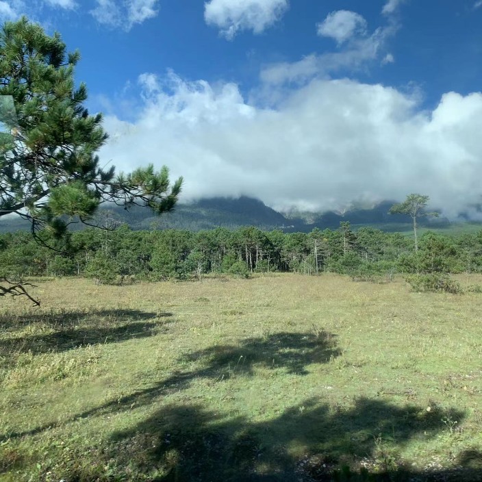 523687.eth Ethereum Name Service (ENS and .eth domain) PFP