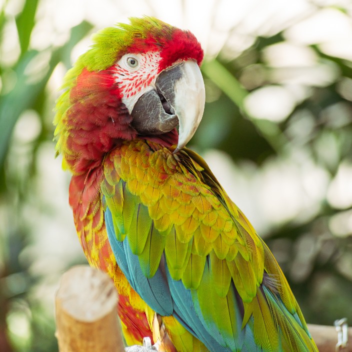 54697.eth Ethereum Name Service (ENS and .eth domain) PFP