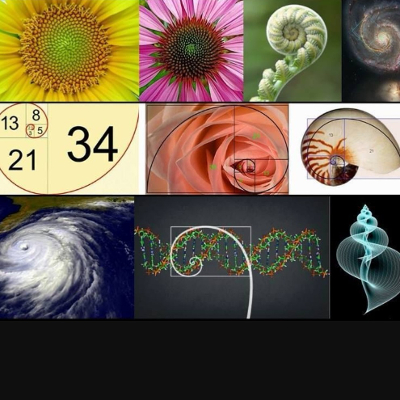 6181.eth Ethereum Name Service (ENS and .eth domain) PFP