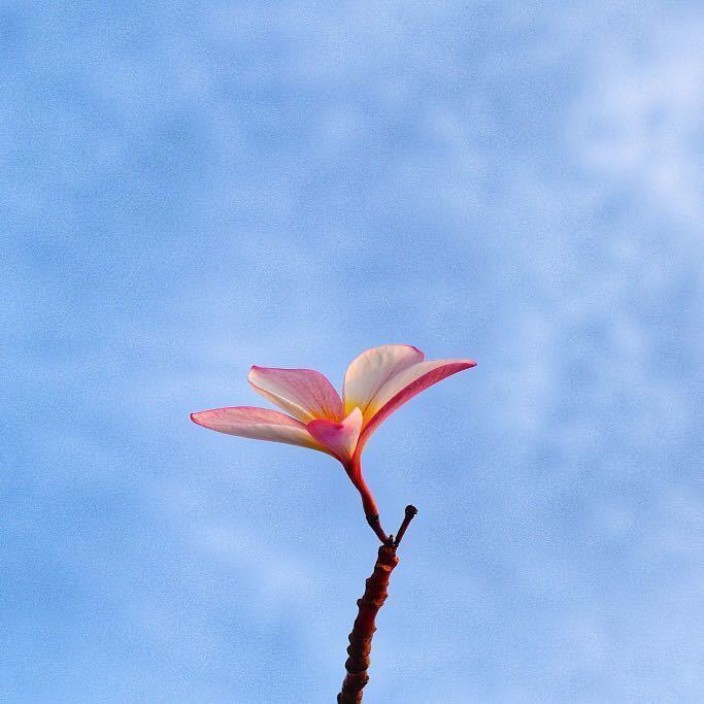 618228.eth Ethereum Name Service (ENS and .eth domain) PFP