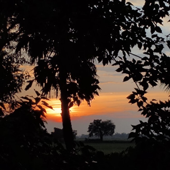 drdvolt.lens Lens social identity (.lens handle) PFP