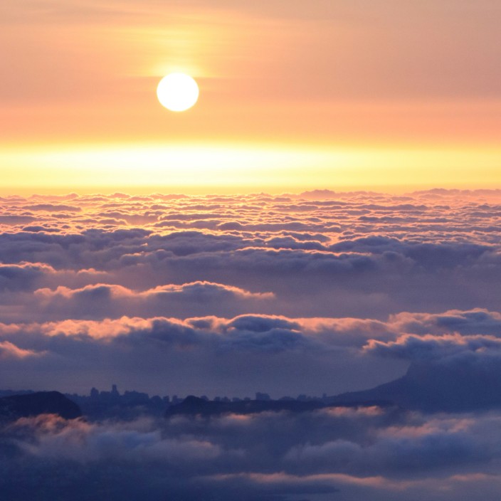 67796.eth Ethereum Name Service (ENS and .eth domain) PFP