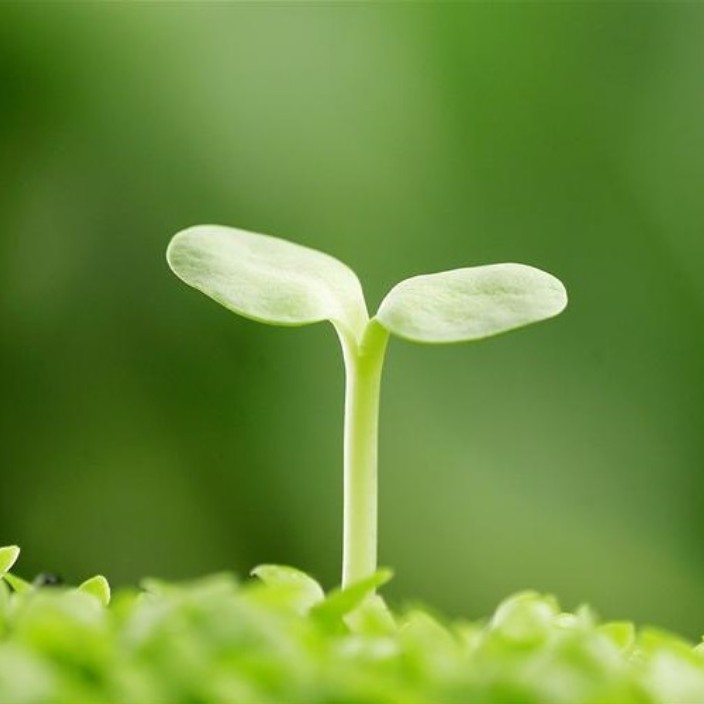 770408.eth Ethereum Name Service (ENS and .eth domain) PFP