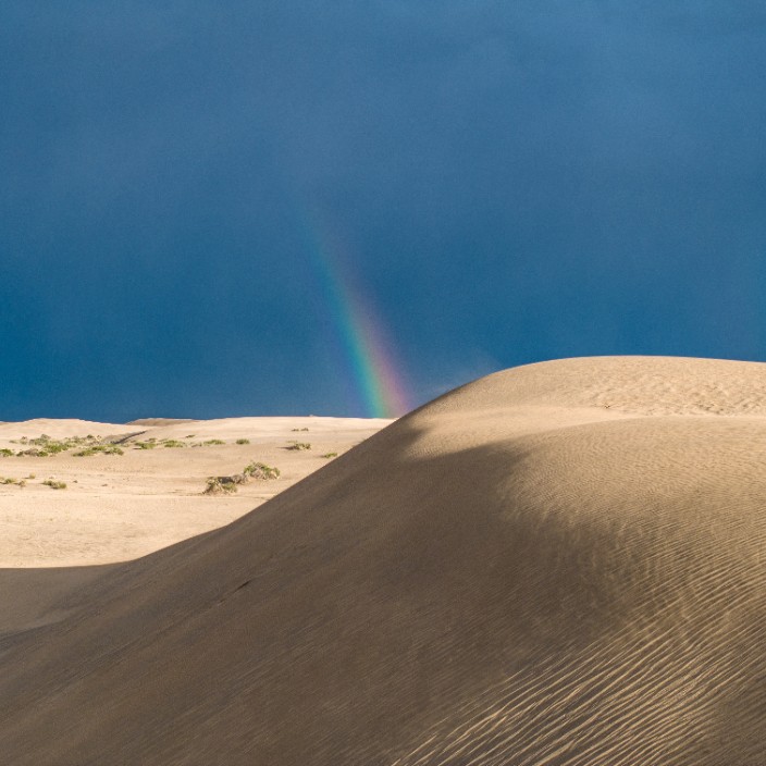 77970.eth Ethereum Name Service (ENS and .eth domain) PFP