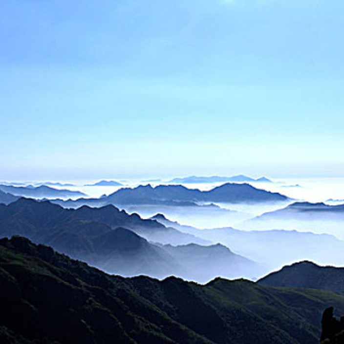 788877.eth Ethereum Name Service (ENS and .eth domain) PFP