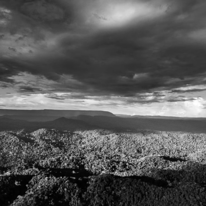 79321.eth Ethereum Name Service (ENS and .eth domain) PFP