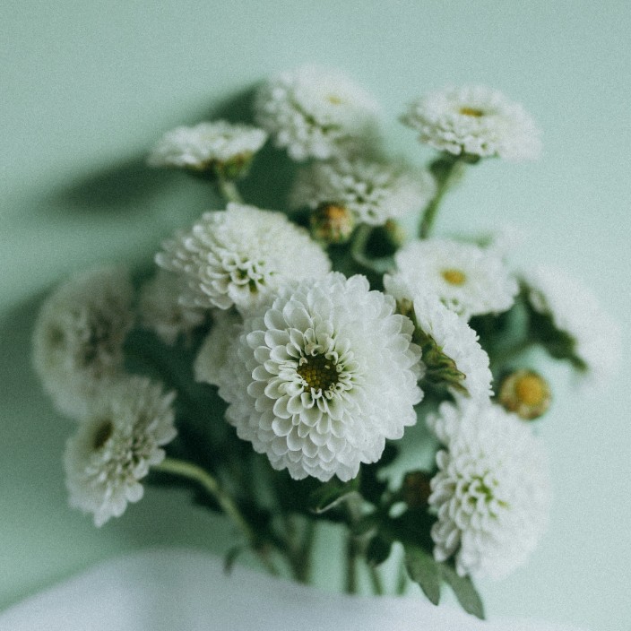 88408.eth Ethereum Name Service (ENS and .eth domain) PFP