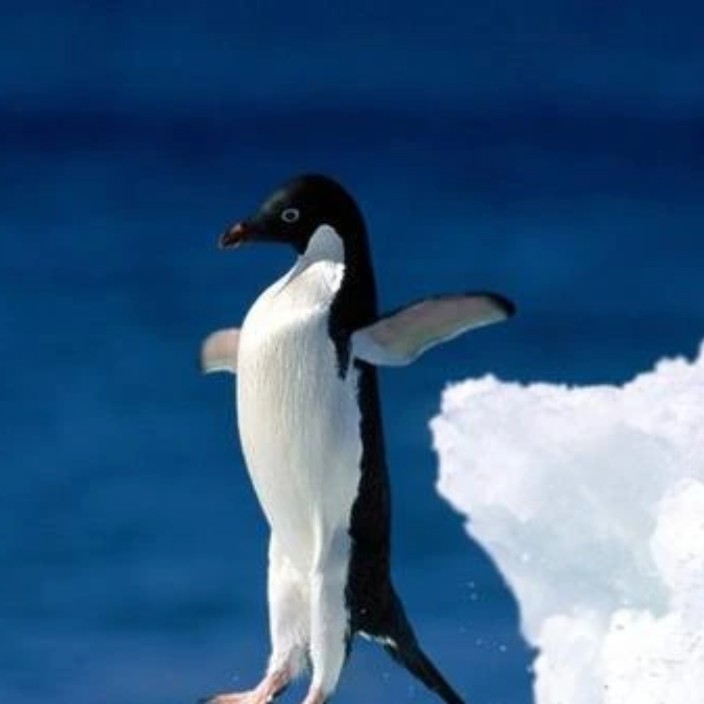 93315.eth Ethereum Name Service (ENS and .eth domain) PFP