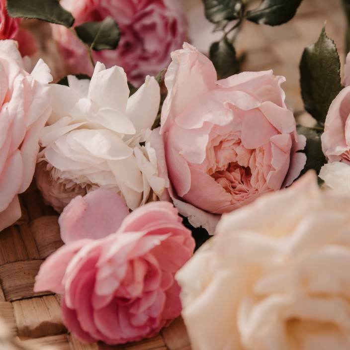 94864.eth Ethereum Name Service (ENS and .eth domain) PFP