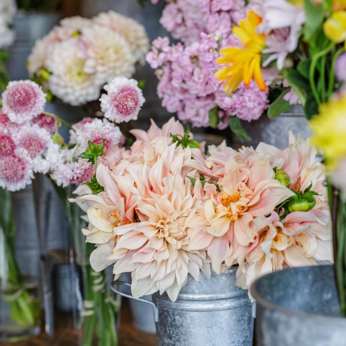 95483.eth Ethereum Name Service (ENS and .eth domain) PFP