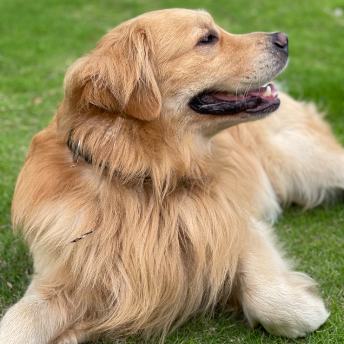 95765.eth Ethereum Name Service (ENS and .eth domain) PFP