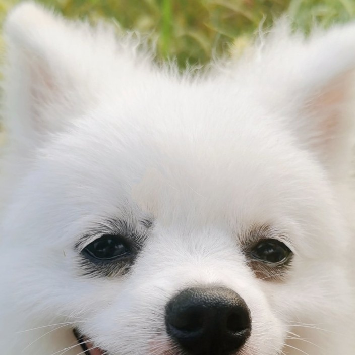 97277.eth Ethereum Name Service (ENS and .eth domain) PFP