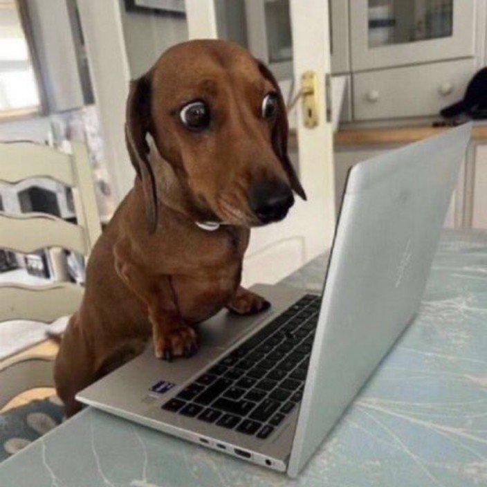 97949.eth Ethereum Name Service (ENS and .eth domain) PFP