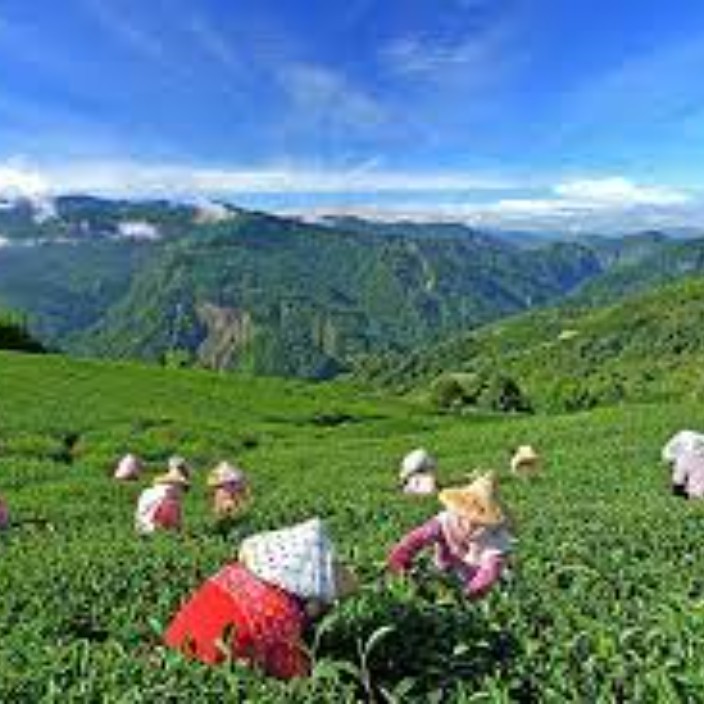 98644.eth Ethereum Name Service (ENS and .eth domain) PFP