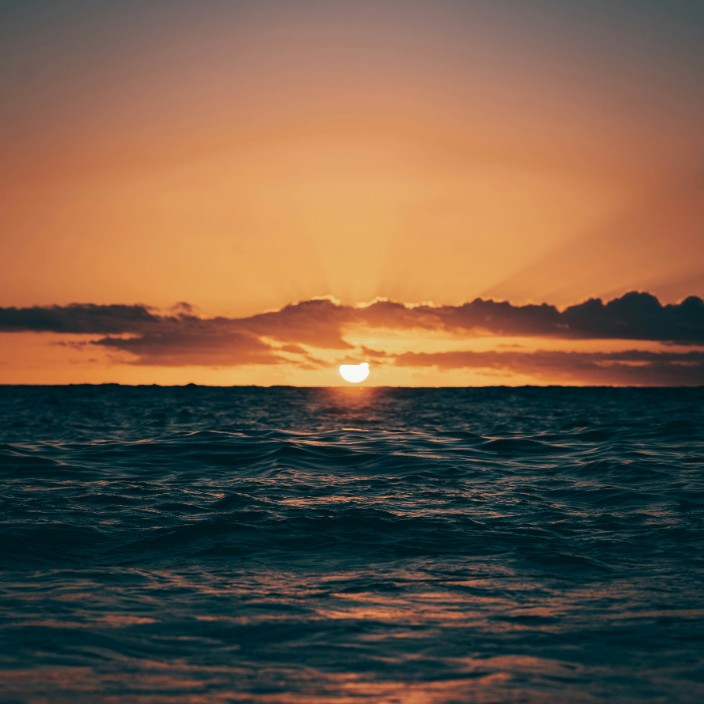 99012.eth Ethereum Name Service (ENS and .eth domain) PFP