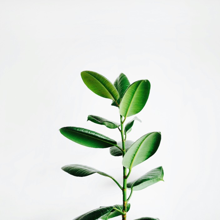 999223.eth Ethereum Name Service (ENS and .eth domain) PFP