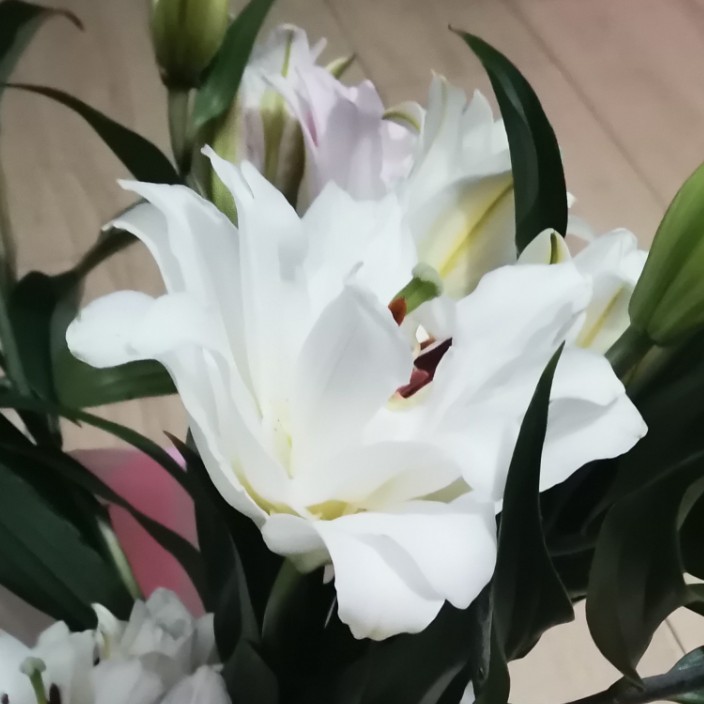 aaab3.eth Ethereum Name Service (ENS and .eth domain) PFP