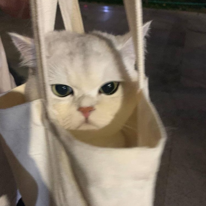 absinthe0901.eth Ethereum Name Service (ENS and .eth domain) PFP