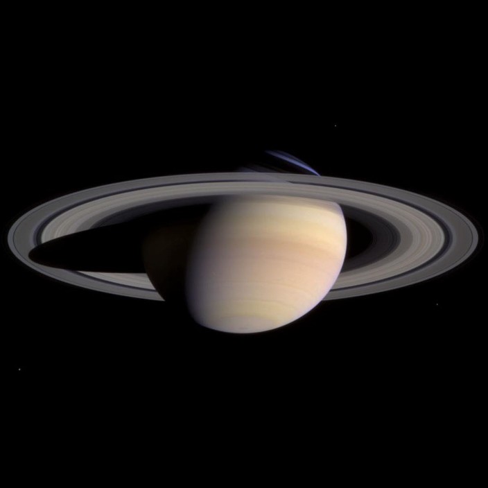 adeliausrak.eth Ethereum Name Service (ENS and .eth domain) PFP