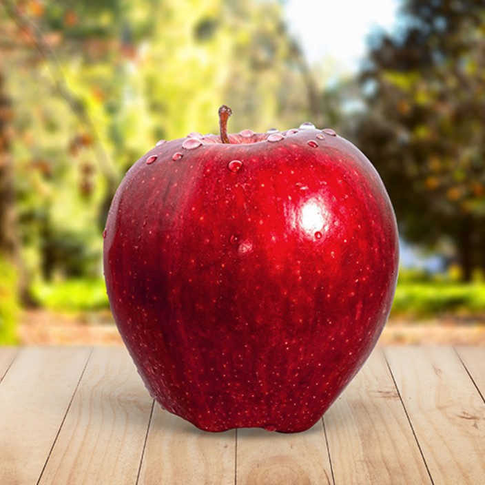 adelingo.eth Ethereum Name Service (ENS and .eth domain) PFP