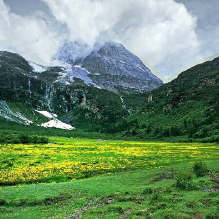 ae88ff.eth Ethereum Name Service (ENS and .eth domain) PFP