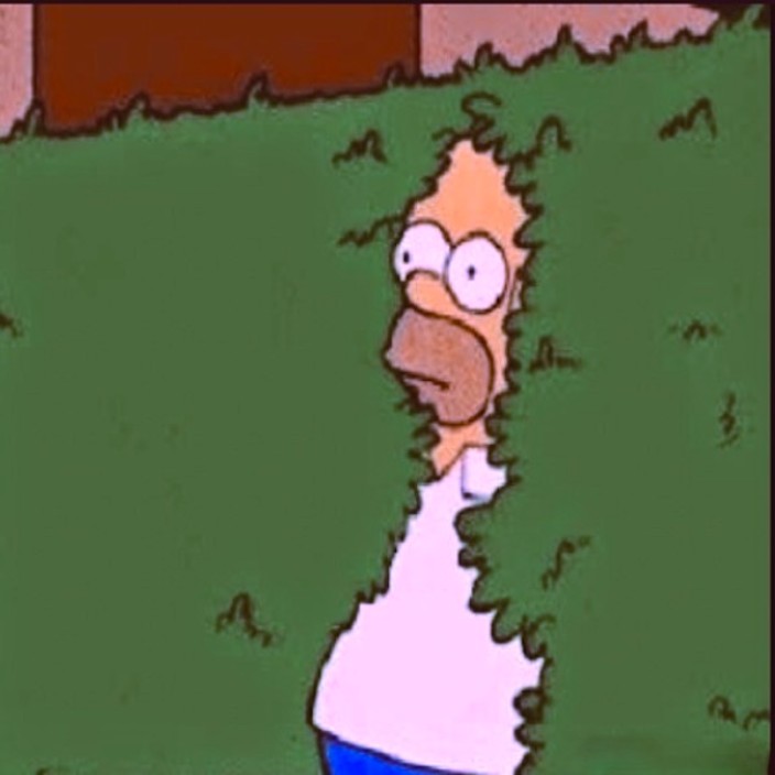 agoraphobe.eth Ethereum Name Service (ENS and .eth domain) PFP