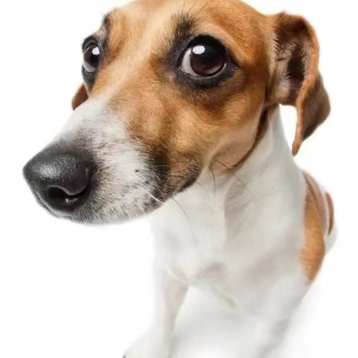 aibaima.eth Ethereum Name Service (ENS and .eth domain) PFP