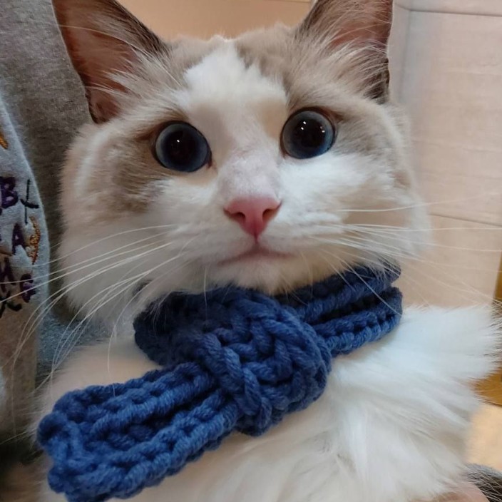 aiiiden.eth Ethereum Name Service (ENS and .eth domain) PFP