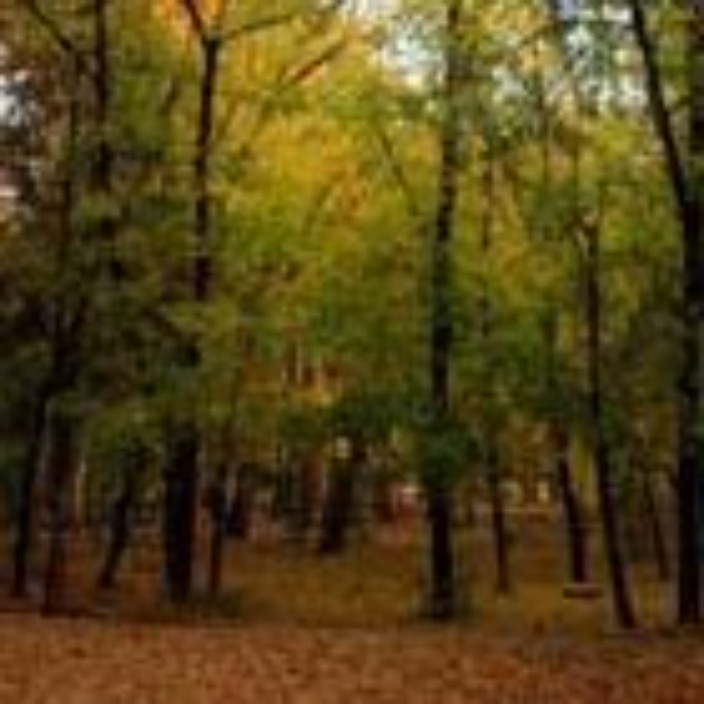 akram.linea.eth Linea Name Service (.linea.eth domains) based on ENS PFP